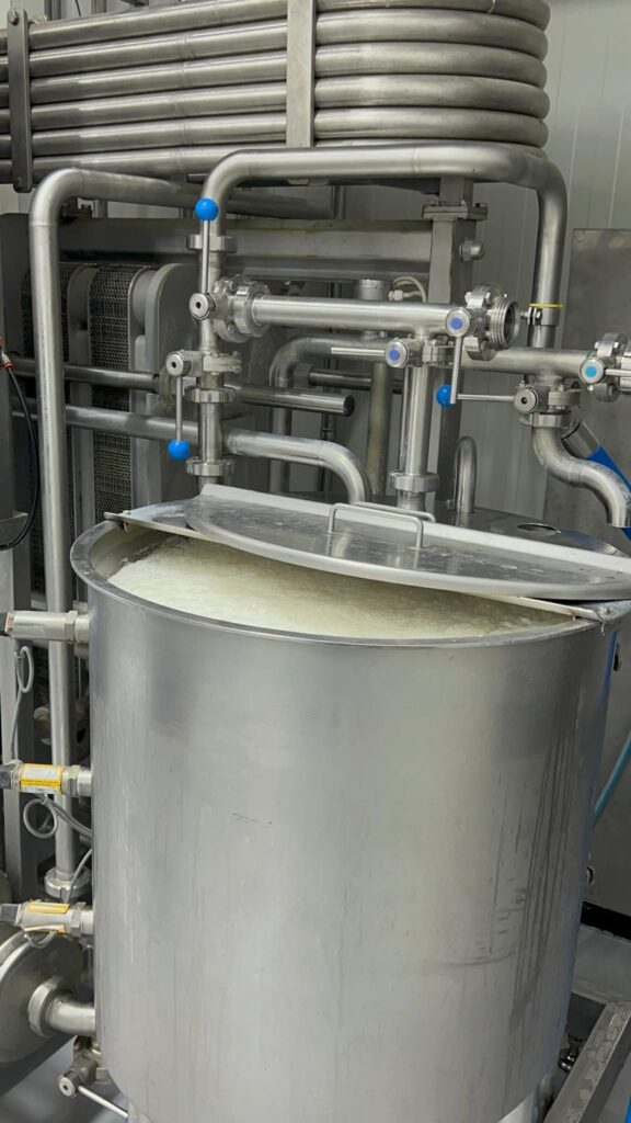 Pasteuriseren